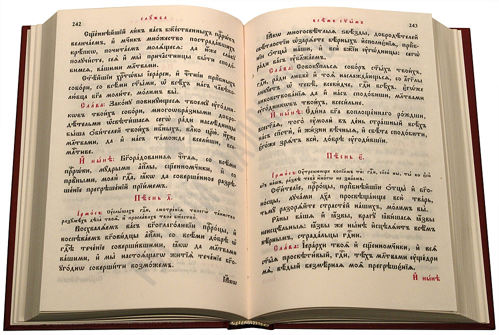 Скачать книгу псалтирь на церковно славянском языке