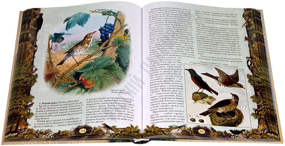 Скачать книгу ловля и содержание птиц