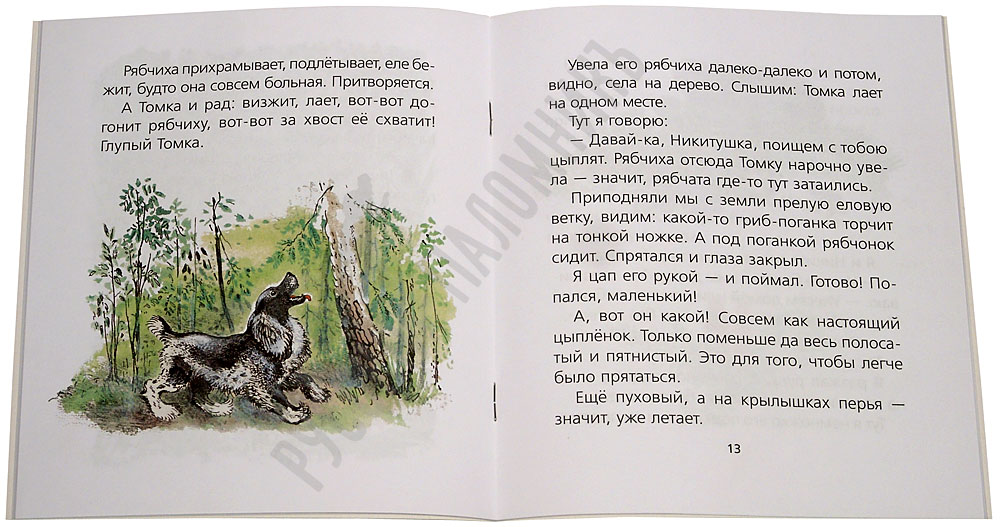 Как витя с лесом поссорился. Как витя с лесом поссорился