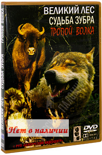 DVD   .  .  . 3 .