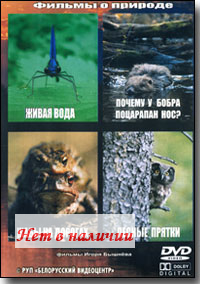 DVD    . 